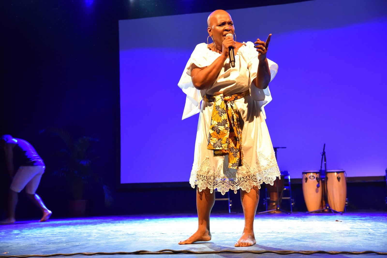 Compagnie professionnelle Ballet Théâtre des Caraïbes btcun travail de transmission